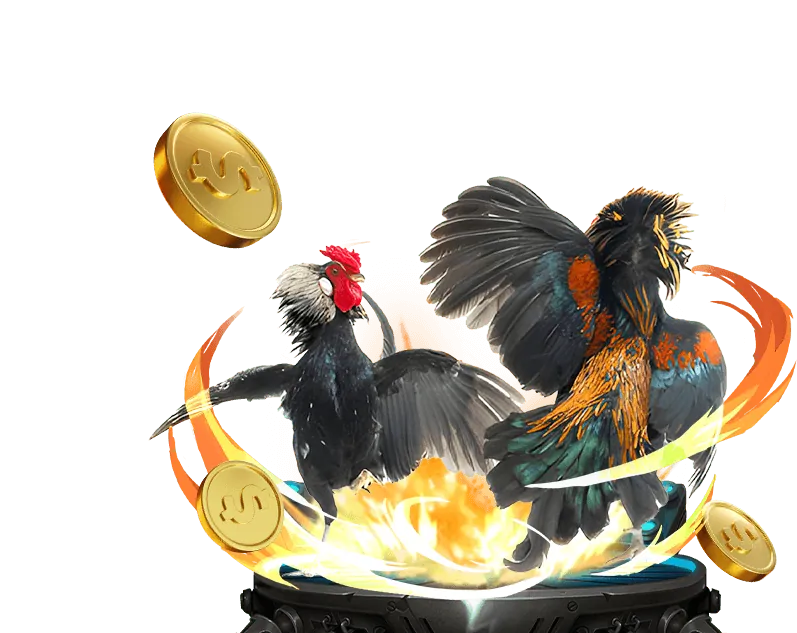 Chú gà chọi mạnh mẽ tại MU88